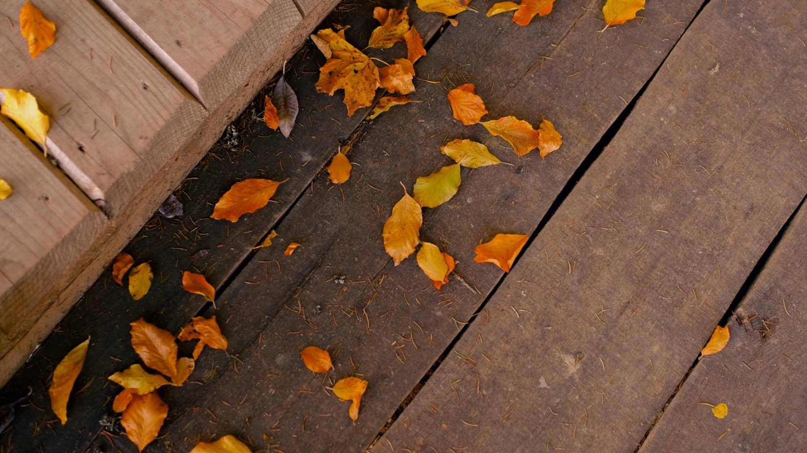 deck builder in Overland Park